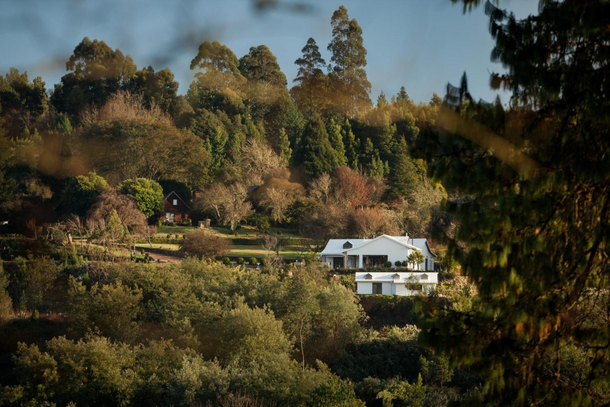 Viewpoint Estate Accommodation Haenertsburg Εξωτερικό φωτογραφία